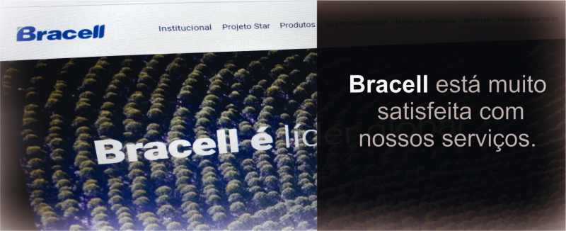 bracell.png